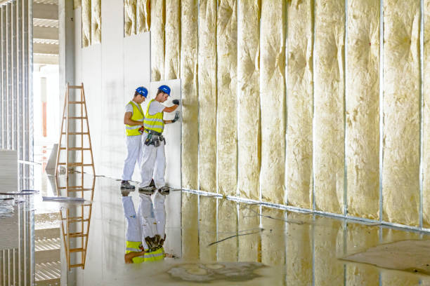 Best Insulation Maintenance and Repair in Poth, TX